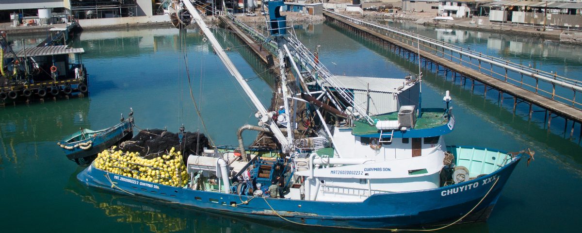 TH COMPANY will refit Chuyito XXX sardine vessel